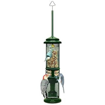 Peanut Bird Feeder Squirrel Proof - What You Didn't Know About Them 1 peanut bird feeder squirrel proof