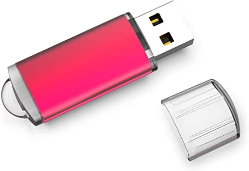 Raoyi 10 Pack 32Gb Usb Flash Drive Usb2.0 Memory Stick Thumb Drive Pen Drive Jump Drive-Red #TOP7