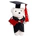 Generico Graduation Bear Imagen de Generico Graduation Bear