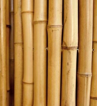 CANNE IN BAMBOO PER SOSTEGNO ORTAGGI E ALTRI USI DA CM 180 (15)