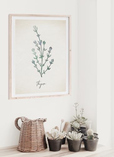 DREAM BIG PRINTABLES Kitchen Herbs Wall Art (Set of 6) - Botanical Prints - 8x10s | Kitchen Wall Decor
