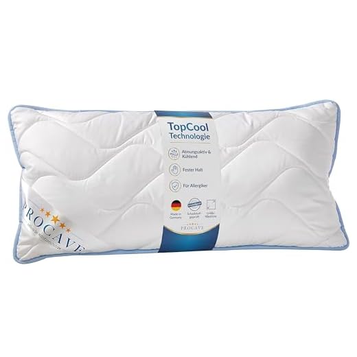 PROCAVE TopCool Kopfkissen Kochfest 40x80 cm, Qualitäts-Stepp-Kissen, atmungsaktives Allergiker Kissen, Winter- und Sommer-Kissen 100% aus Deutschland