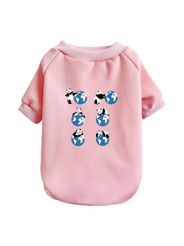  p_ n ybg hbOEFA ̕ L ybgEFA h _炩 іh~   t@bV U ybgpi