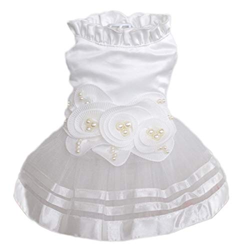 PanpanBox - Robe - Femme Blanc Weiß L Cover