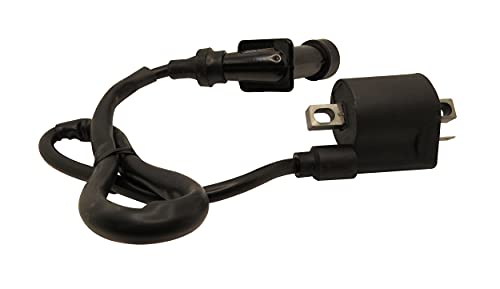 Aitook Ignition Coil Compatible With Polaris Trail Boss 330 2003-2011 #TOP7