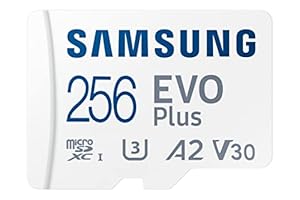 Samsung EVO Plus w/SD Adapter 256GB Micro SDXC, bis zu 130MB/s, erweiterter Speicher für Gaming-Geräte, Android-Tablets und Smartphones, Speicherkarte, MB-MC256KA/AM, 2021
