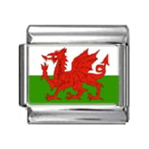 Italian Charm WALES WELSH FLAG CLASSIC LINK SILVER fits all Italian bracelet TB15 Cover