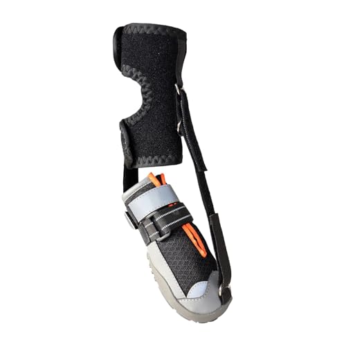 Chaussures chien antidérapantes pour éviter les blessures aux coussinets - 2