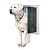 The Amazing Innovative Large Swing Dog Door - Say Good Bye to Flaps and Hello to Luxury