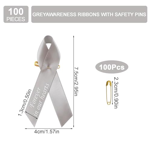 CRAFFANCY WANDIC 100pcs Grey Ribbon Pins Parkinson Awareness Badges Brain Tumor Brooch Memorial Ribbon Badges in Forever in Our Hearts for Funeral Mourning Event Bereavement Remembrance - Image 2