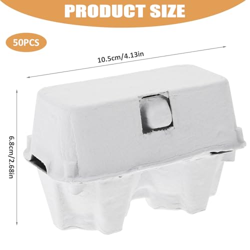 Cartons d'œufs en papier en pâte de cellulose robuste - 5