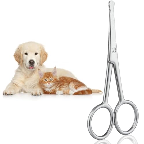 Adiwo Hundehaarschere Fellschere,10.5cm Aus Edelstahl Fellschere Pfotenschere Abgerundete Schere Hund Pfotenschere für Hunde Haustierschere Schere Hundehaare Schneiden für eine perfekte Fellpflege