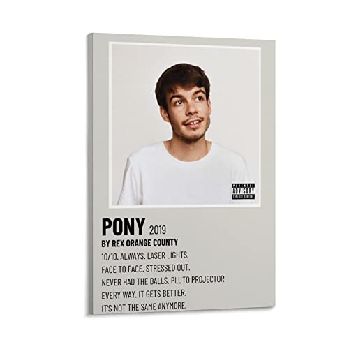 Poster Rex Orange County PONY d'album encadré 50x75 cm DAXXIN