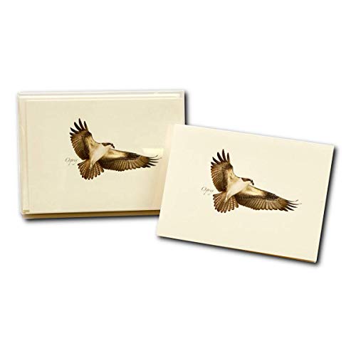 Image of Earth Sky + Water - Osprey Notecard Set - 8 Blank Cards with Envelopes