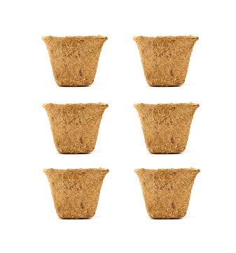 See full amazon price history chart for Coir Pot 4" - Set of 6, Spanish Cup, Biodegradable Plant pots Coir Pot 4" - Set of 6, Spanish Cup, Biodegradable Plant pots (B08B82CYFS) Amazon Price History, Amazon Price Tracker