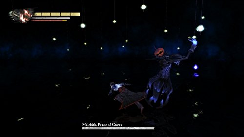 Anima: Gate of Memories