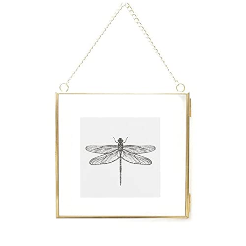 Marcos de fotos de 20x20 cm Hechos de latón de cobre Marco de fotos de vidrio flotante colgante Ornamento de oro Clip de muestra de planta Soporte de pantalla de imagen Marco de vidrio solamente