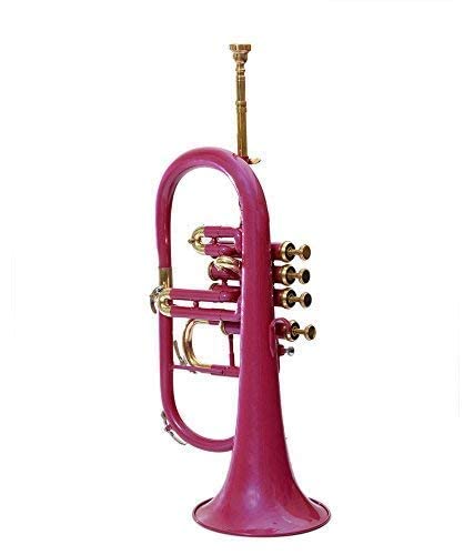 4 Valve Flugel Horn With Mouthpiece And Hard Case For School Band Pink Flugel Horn BB Pitch Brass Musical Instrument For Orchestra Beginners Professionals For Kids Adults