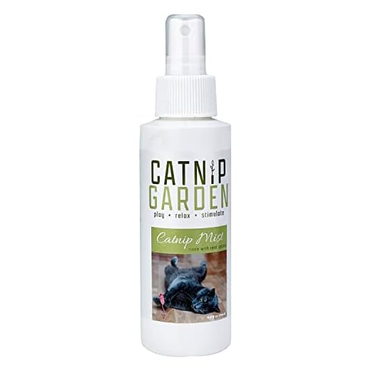 Multipet Catnip Garden Mist Spray Toy, 4 oz