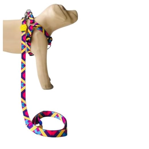 Conjunto Peitoral Coleira com Guia para Cachorros com Pingente P, Tamanho Ajustável, Confortável e Resistente