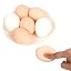 6 Eggs