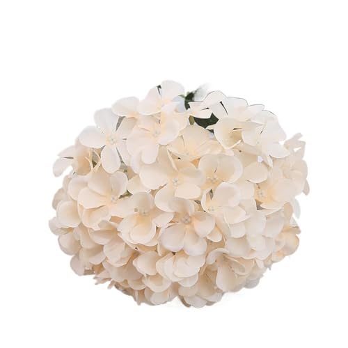 lHAWTC̉ԁBUVϐ̂tFCNAWTC̑BȎpBAȃVNt[AWgBԕrA|[`AAe[ũZ^[s[XɁB(Color1,10)