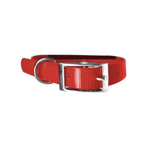Collier pour Chien Biothane Gold - 2,5cm de Largeur - Longueur au Choix - Ultra résistant (55cm, Rouge 318)