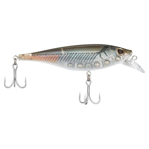 Berkley Juke Fishing Lure, Mangrove Minnow, 100, 4in | 10cm, Flat-Sided Body Darts and Flashes to Imitate Baitfish, Equipped with Sharp 3X Anti-Rust Fusion19 Treble Hooks