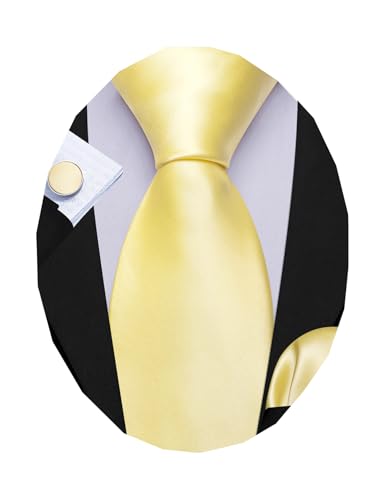 Image of Barry.Wang Plain Men Silk Ties Extra Long Satin Necktie for Wedding Business Handkerchief Cufflinks Set Solid Colors