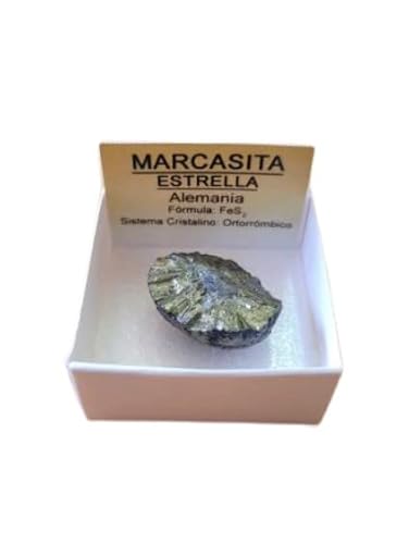 WLM Marcassite en Pierre Brute
