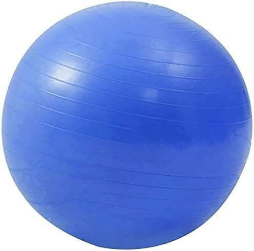 Pelota de Fitness ELzEy de 55cm con Bomba de Aire para Gimnasio en Casa y Pilates