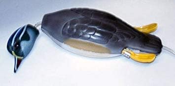 Dokken Dead Fowl Trainer Wood Duck
