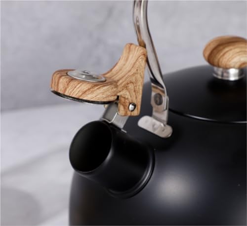 Poêle supérieure bouilloire pour stopper l'air sec du chauffage bois - 5