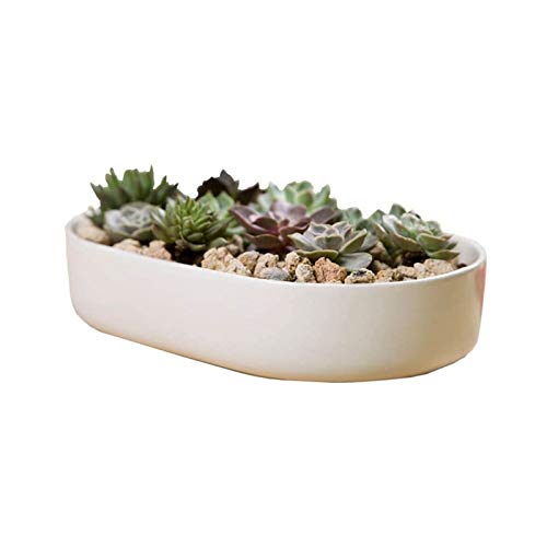 Pot en céramique YRYRYW pour succulente : sublimez votre décoration de bureau