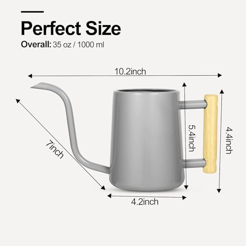 Image of Watering Can Indoor Plants, 35 oz /1000 ml Metal Stainless Steel Watering Can Pot with Long Spout for Indoor House Plants Bonsai Outdoor Garden Flower Decorative (Gray)