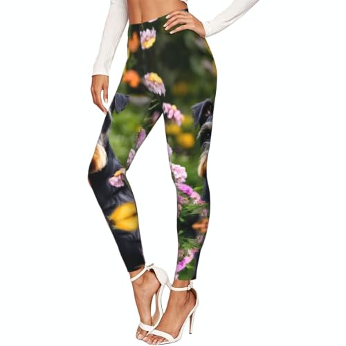 Leggings de compresión suaves de mujer mallas deportivas de entrenamiento con diseño de Schnauzer