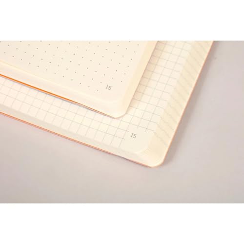RHODIA 117805C – Miękki notes Bullet Journal Goalbook jasnozielony – A5 14,8x21 cm – punktowy układ stron – 240 stron – papier 90 g/m² – 2 tasiemki, zamknięcie na gumkę – okładka z ekoskóry