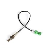 Einfache Installation, schnelle Reaktion.