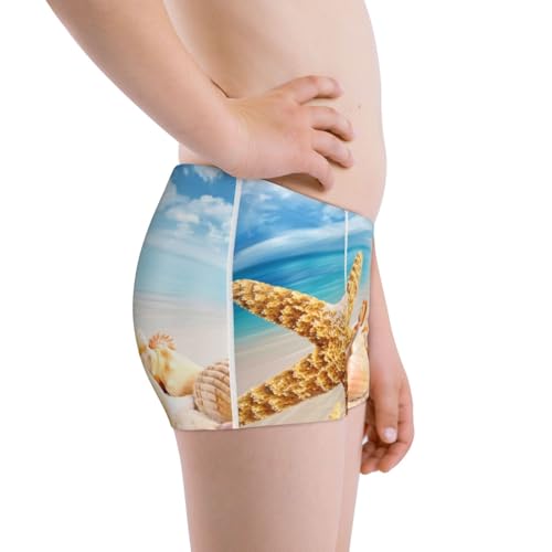 Boys' Cotton Boxer Brief Soft Underwear-Beach Starfish Shell2
