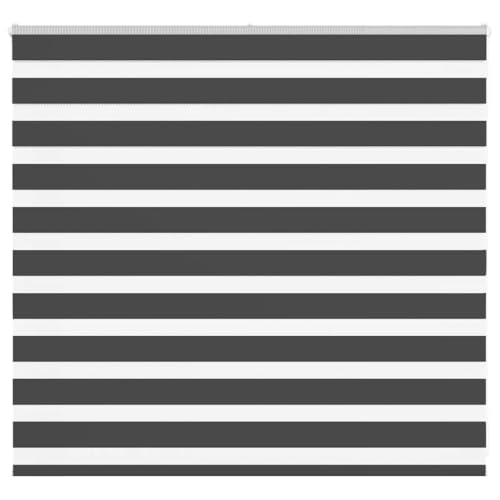 Zebra Persiana enrollable 100% poliéster, protección solar y visual con cadena, fácil de limpiar y montar para ventanas en el salón, dormitorio u oficina