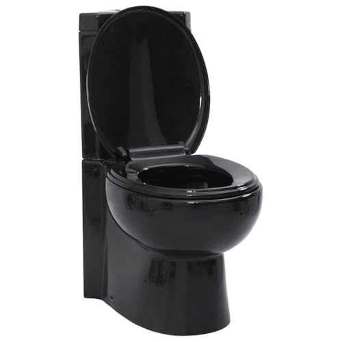 vidaXL Cuvette WC Céramique Noir Abattant WC Fermeture en Douceur Toilette