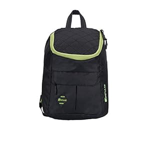Impulse 20 Ltrs Green School Backpack (Backpack Peppy Green)