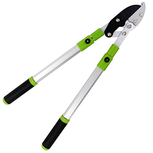 WYZXR Professional Compound Action Bypass Lopper, Makes Clean Professional Cuts, Tree Trimmer And Branch Cutter Featuring Sturdy Medium-Sized Handles.