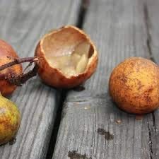 Tol fruit, toll fruit, Landolphia heudelotii fruit, (Madd fruit, Maad fruit, Saba fruit family) single serving pack - Thumbnail 3