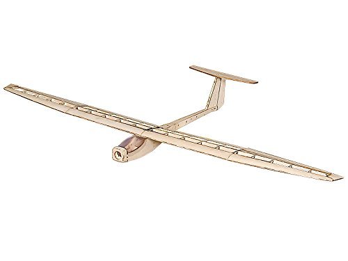 Dancing Wings Hobby 1.5M Balsa Wood Electric Glider Griffin Need to Build for Adults (F1504C)