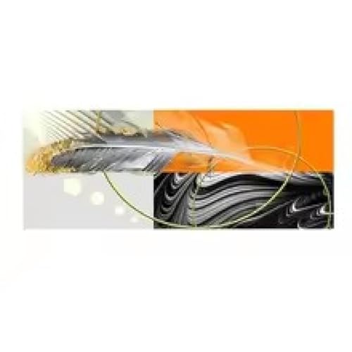 Toile abstraite lumineuse pour salon moderne, affiche plumes TONGYINLI 40x120