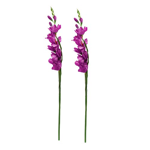 PawwJoy Lot de 2 fleurs de glaïeul artificielles en soie pour bouquet de mariage, centre de table, décoration d'intérieur