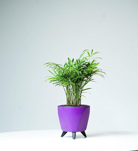 Image of Garden Art (Pack of 5 Indoor Outdoor Self Watering Planter Home Living Room Office Tabletop Decorative Plastic Flower Pot 5.1 Inch (Purple, 5) PPLAPL
