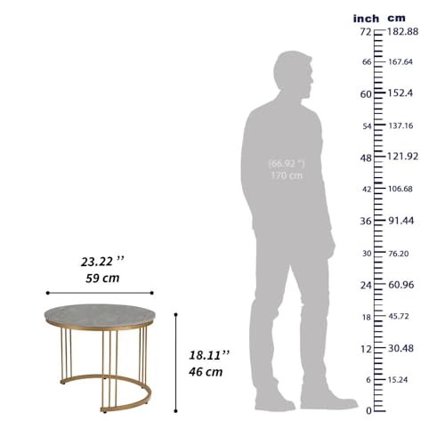 Image of Wakefit Center Table | 1 Yr Warranty | Coffee Table for Living Room Wooden, Tea Table for Living Room Wooden, Sofa Table, Free Installation from Brand, Modern Multi-Functional & Wobble-Free(Frappe)