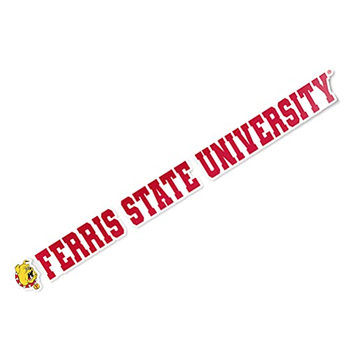 Desert Cactus Ferris State University Sticker FSU Bulldogs Name Logo Vinyl Decal Laptop Water Bottle Car Scrapbook (15 Inch Sticker)